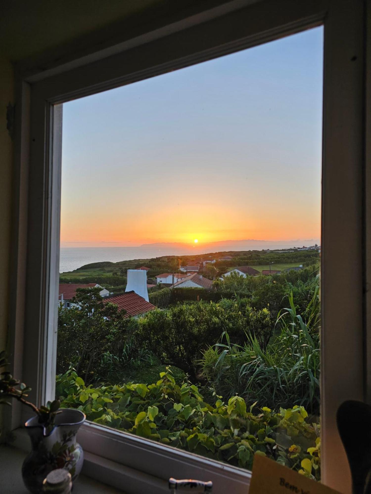 Casa Anjos Holiday Cottages Cedros Экстерьер фото