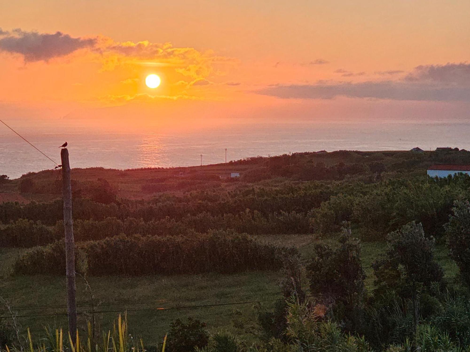 Casa Anjos Holiday Cottages Cedros Экстерьер фото